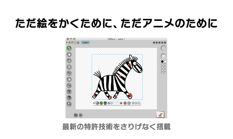 機能 機能