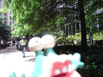 照りつけるNYの日差しとともにホケタケ